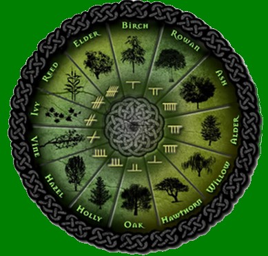 What your tree Zodiac sign says about you – according to Celtic Druid astrology Celticzodiac